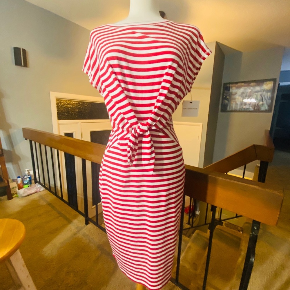 NWT S LizClaiborne ShortSleeve Striped A-LineDress - Picture 7 of 10